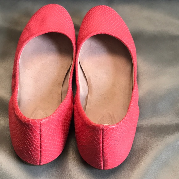 Bloch flats - Picture 4 of 6